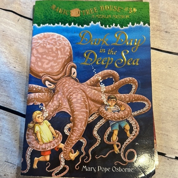 Magic Tree House Books Set of 5 Books - Picture 5 of 6